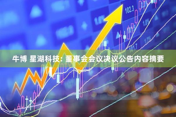 牛博 星湖科技: 董事会会议决议公告内容摘要