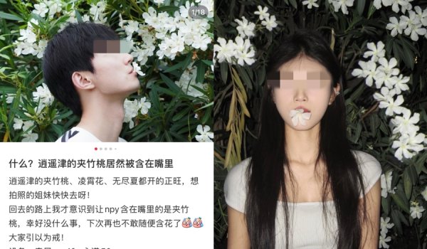 众豪配资 别碰！人民日报、新华社等紧急提醒，可为什么城市里经常见到？
