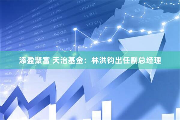 添盈聚富 天治基金：林洪钧出任副总经理